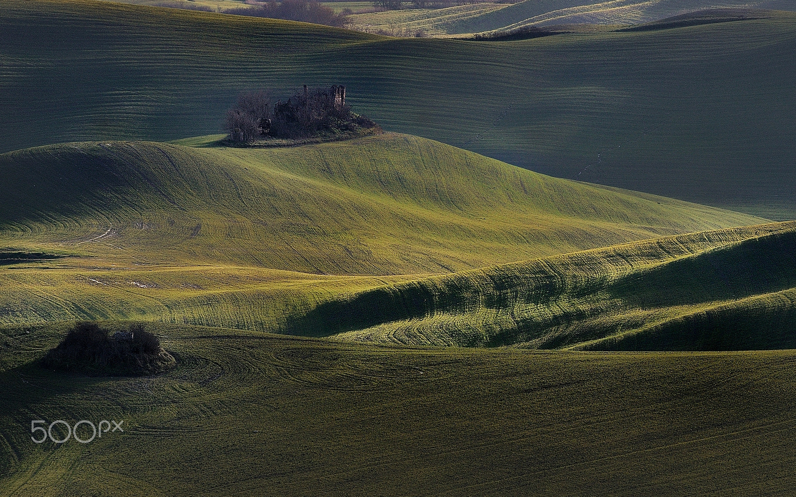 Nikon D90 sample photo. Back to my beloved hills. photography