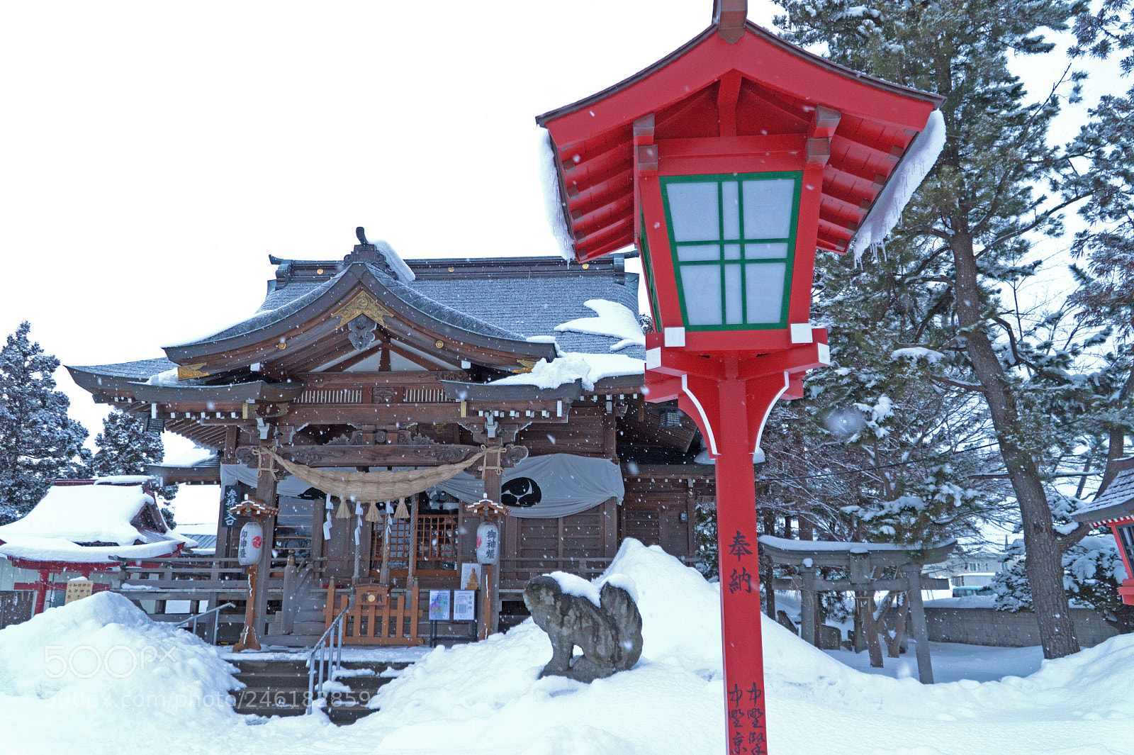 Sony Alpha a5000 (ILCE 5000) sample photo. Tsuruta hachimangu photography