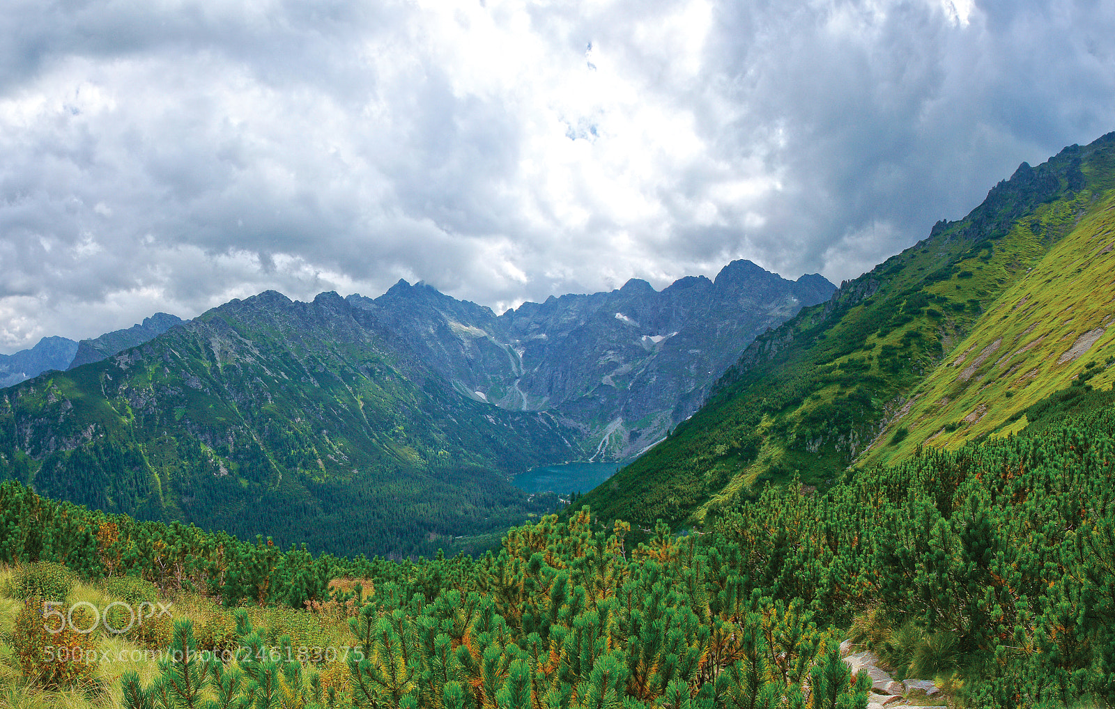 Sony Alpha DSLR-A900 sample photo. Morskie oko tarn photography