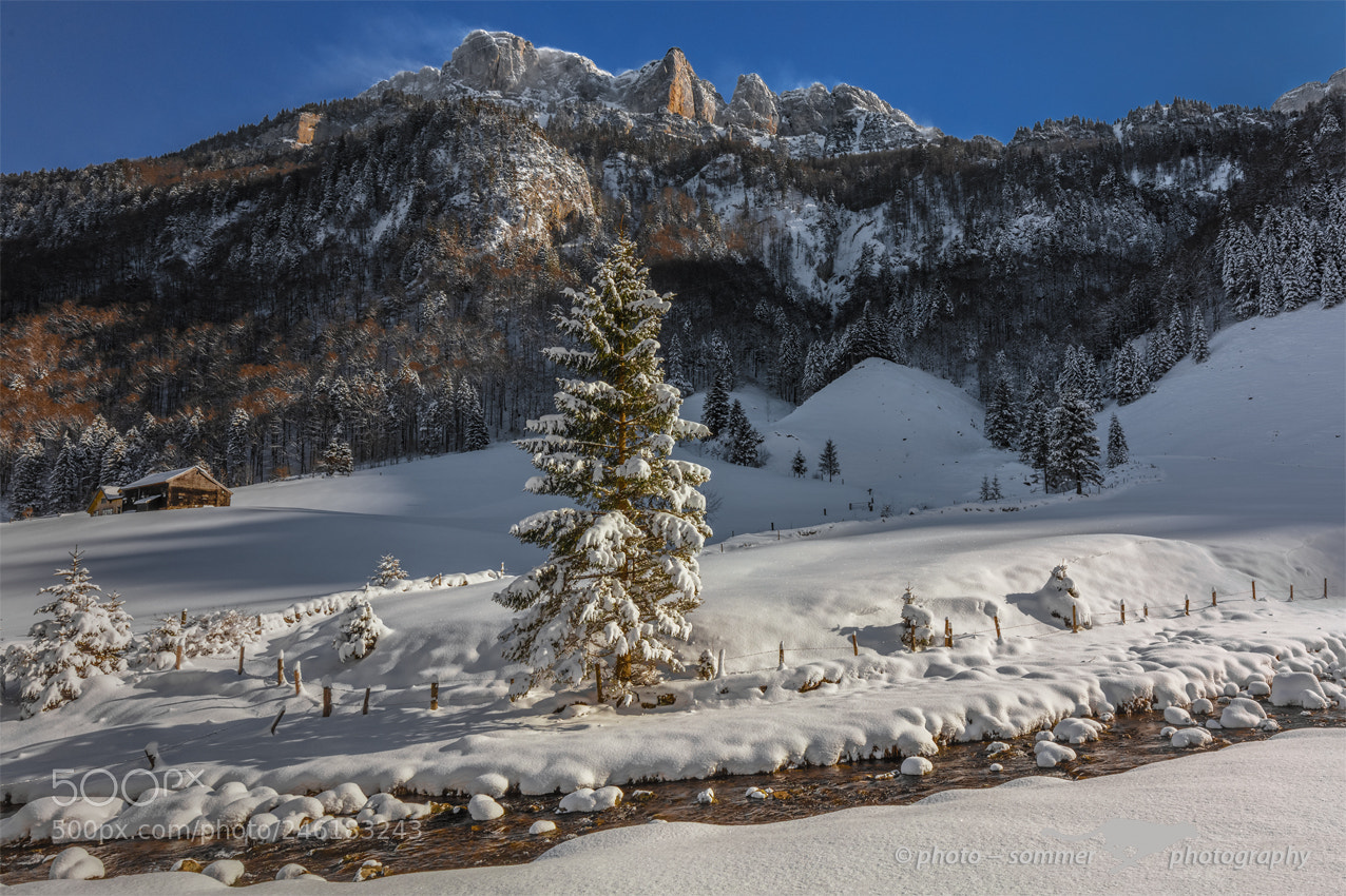 Canon EOS 5DS R sample photo. Bei wasserauen, appenzell photography