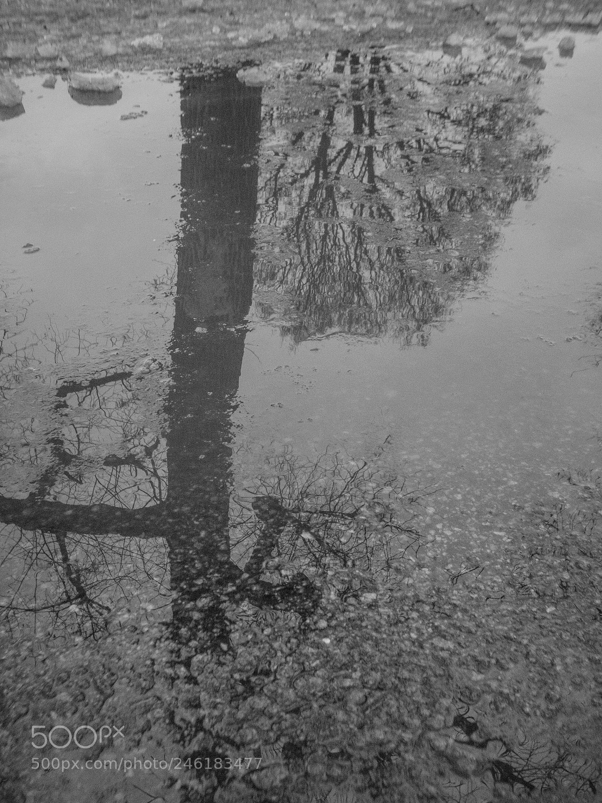 Fujifilm X-E2S sample photo. Reflection 1 photography