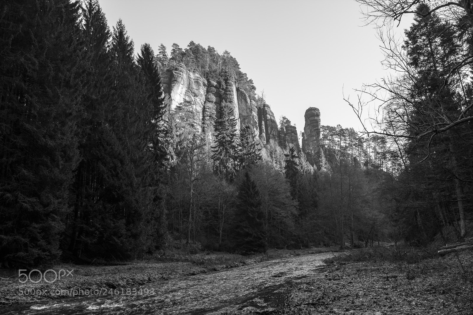 Nikon D5200 sample photo. S chsische schweiz, iii photography