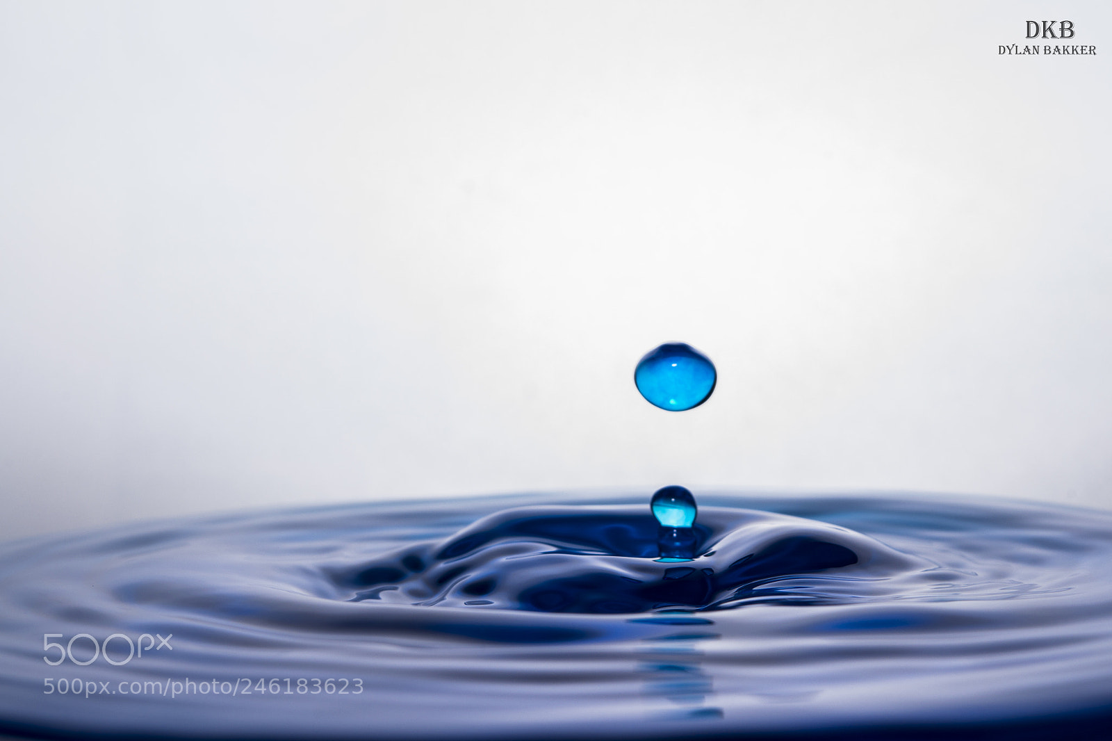 Nikon D3100 sample photo. First try water drops photography