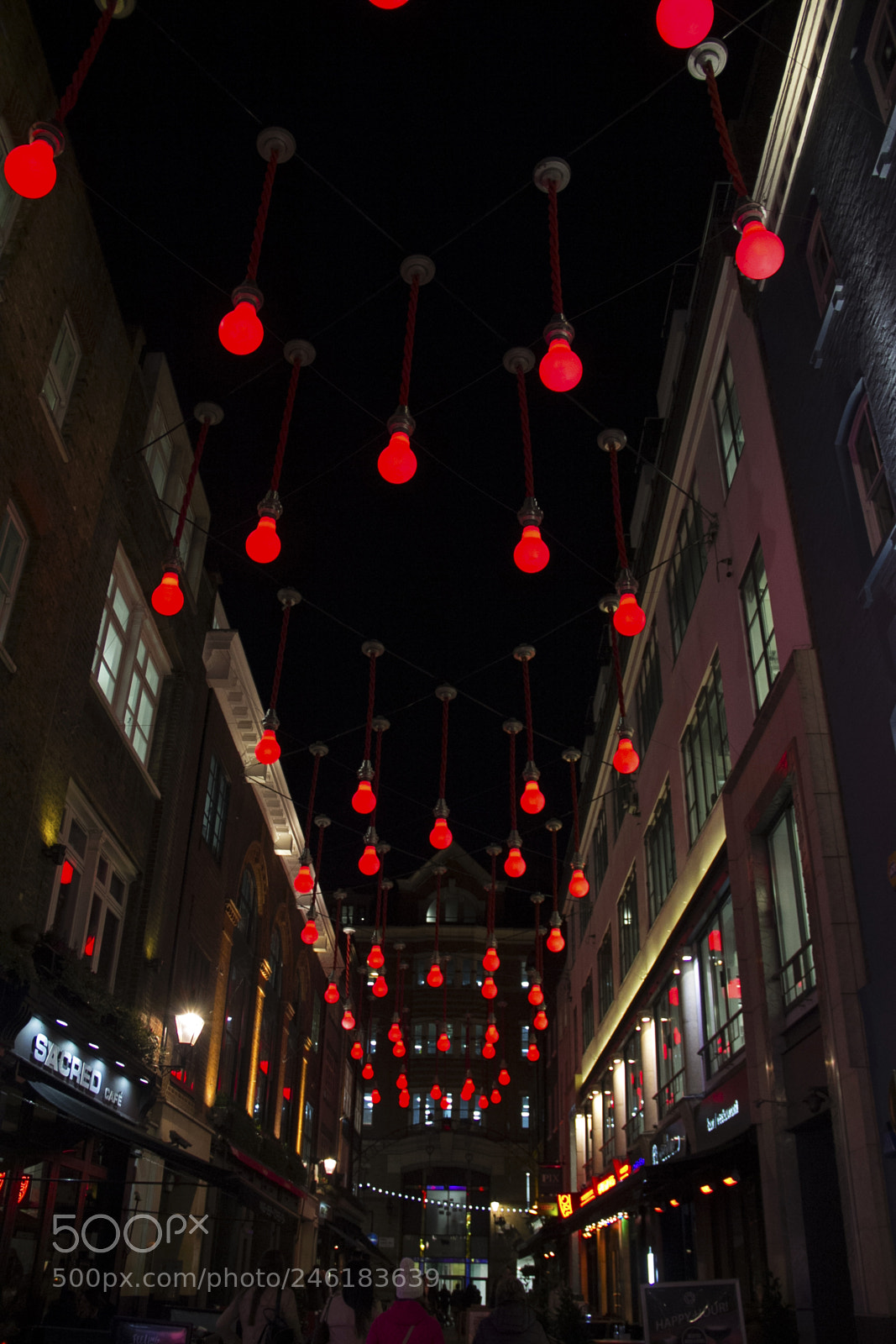 Canon EOS 60D sample photo. Red is the new photography