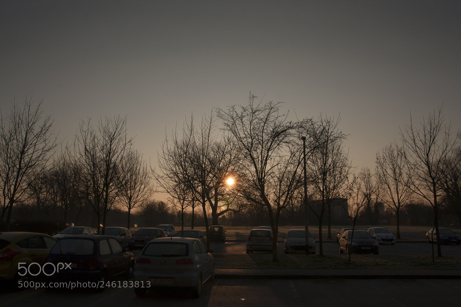 Canon EOS 40D sample photo. Jutro photography