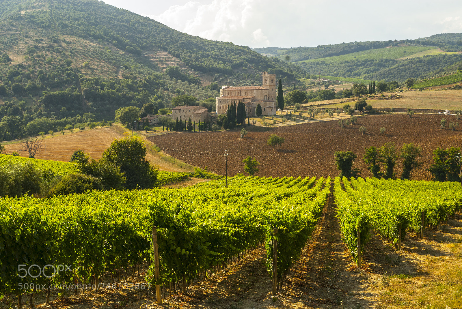 Nikon D200 sample photo. Sant'antimo (tuscany) photography