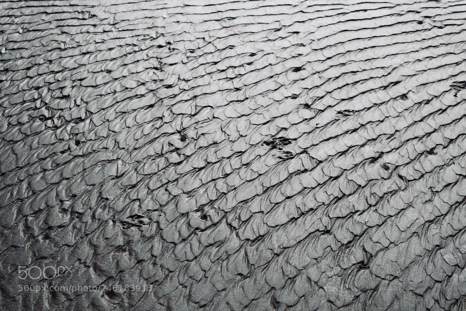 Canon EOS M5 sample photo. Squamous sand photography