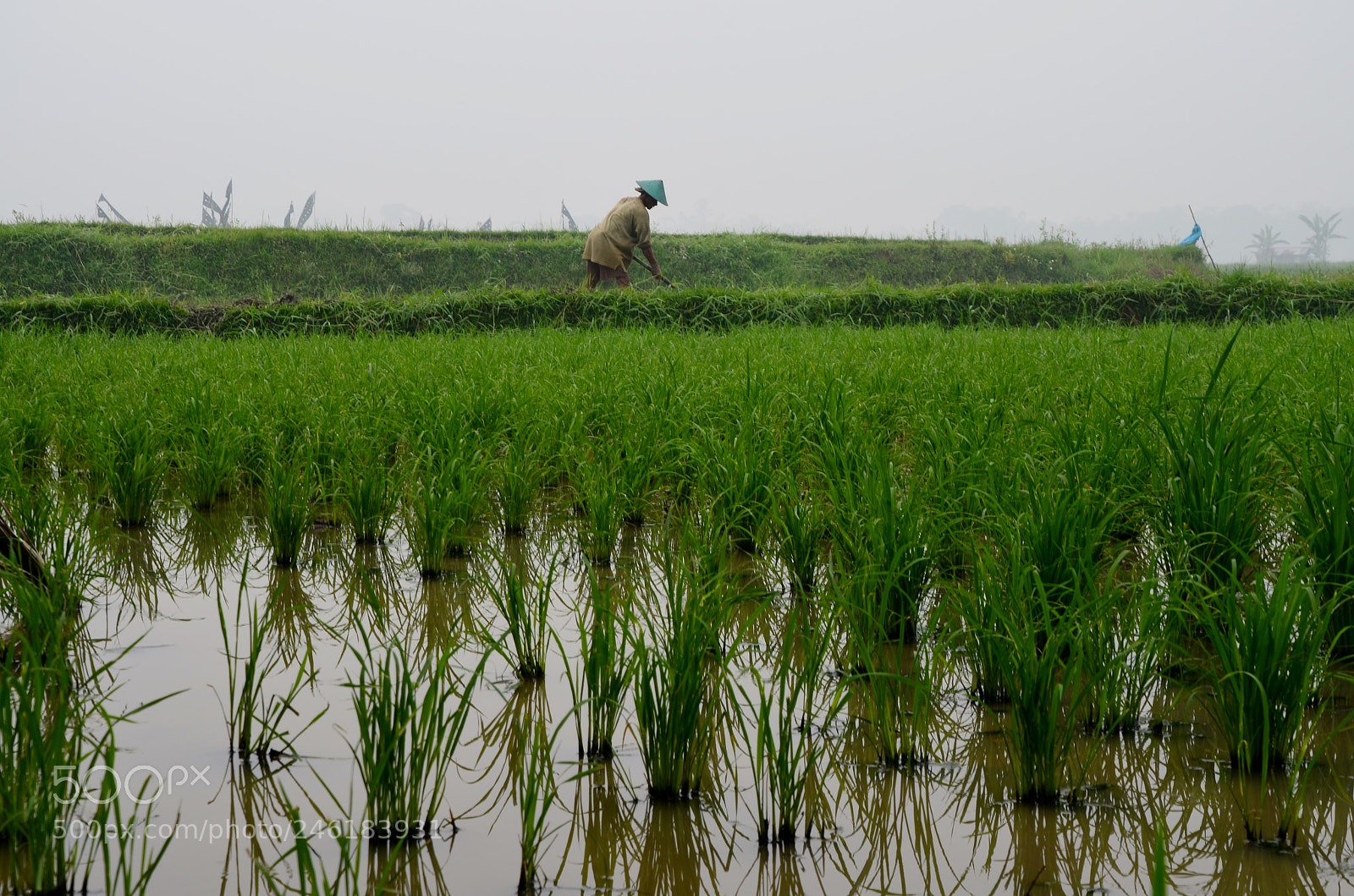 Nikon D5100 sample photo. Working in the field photography