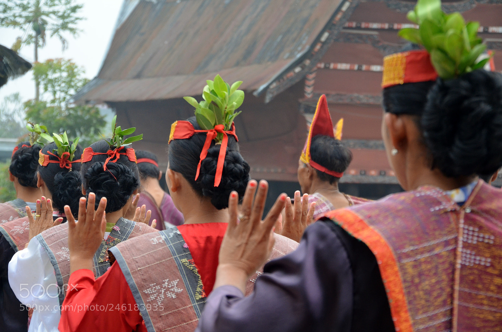 Nikon D5100 sample photo. Lets us dance photography