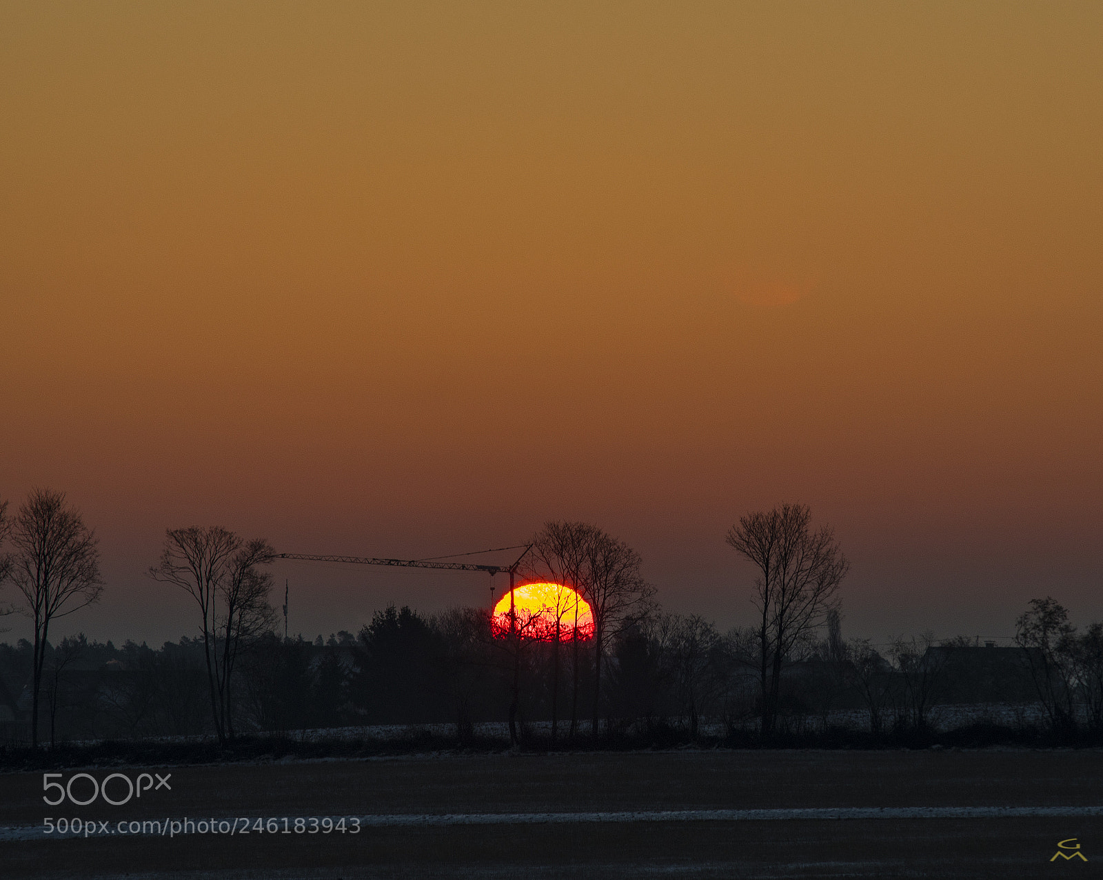 Nikon D500 sample photo. First light photography
