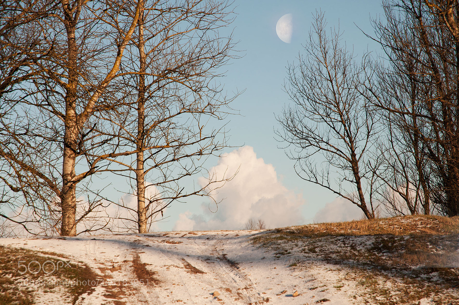 Nikon D5000 sample photo. Winter moon photography