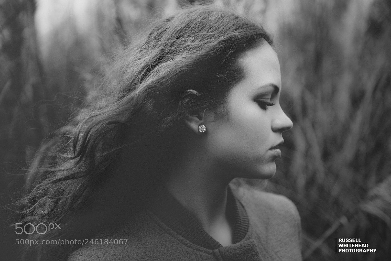 Nikon D800 sample photo. Alex photography