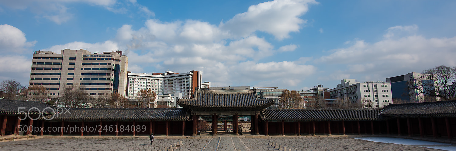 Nikon D810 sample photo. Dsc photography