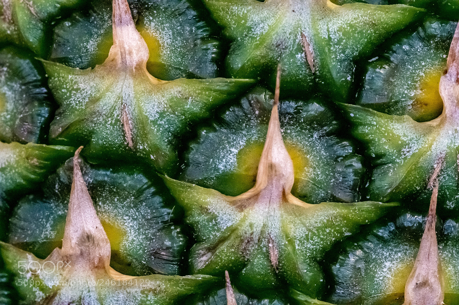 Sony a9 sample photo. Pineapple macro photography
