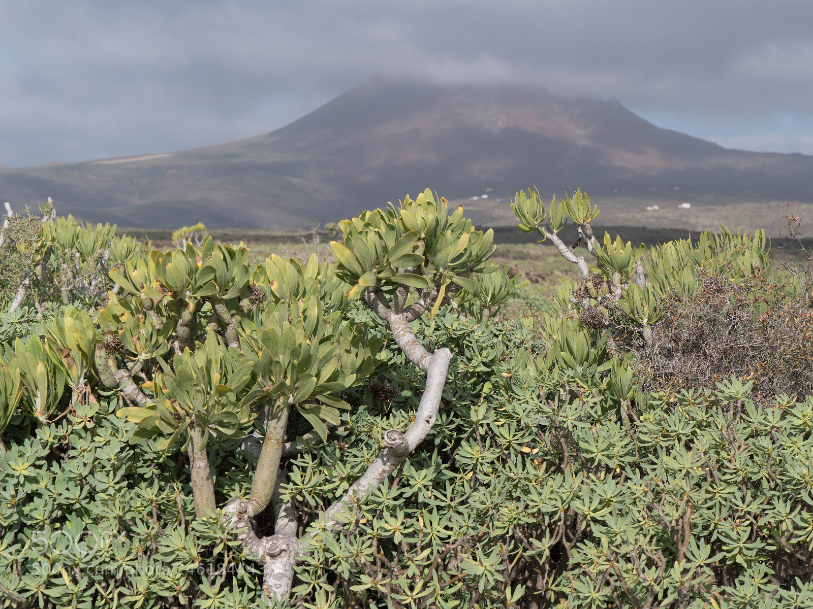 Panasonic Lumix DMC-GX8 sample photo. -1702_lanzarote004004.jpg photography