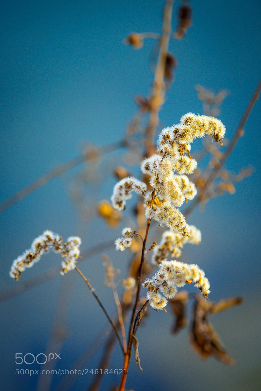 Nikon D800 sample photo. Untitled photography