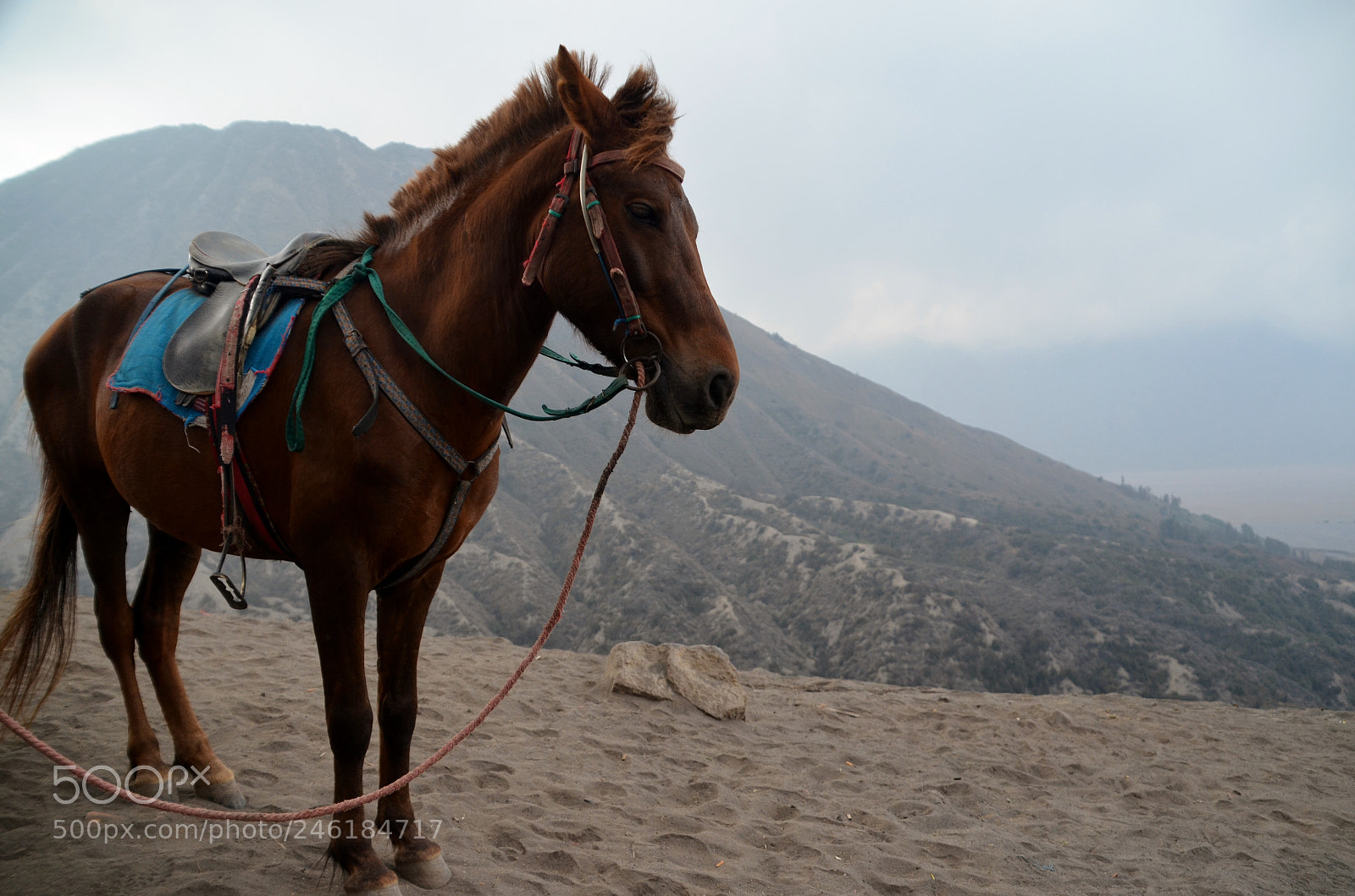 Nikon D5100 sample photo. Resting after the climb photography