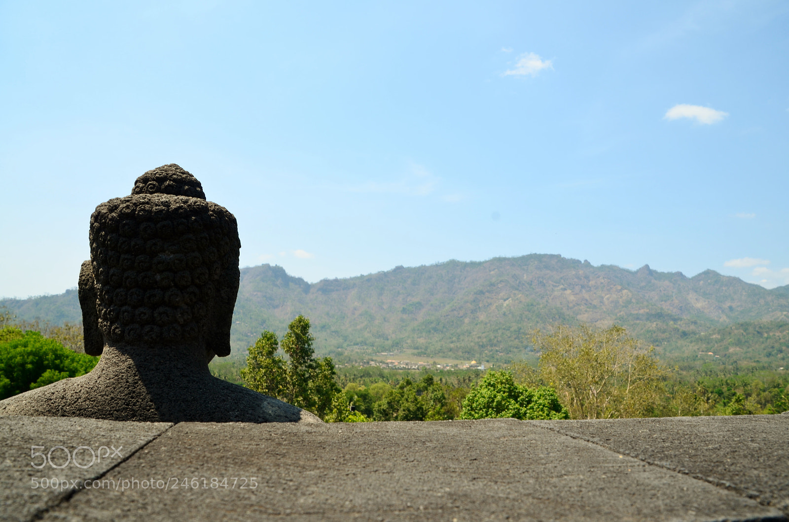 Nikon D5100 sample photo. Garding the land photography
