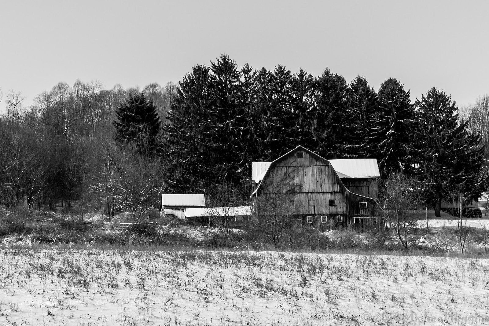 Canon EOS 1200D (EOS Rebel T5 / EOS Kiss X70 / EOS Hi) sample photo. Gray days of winter photography