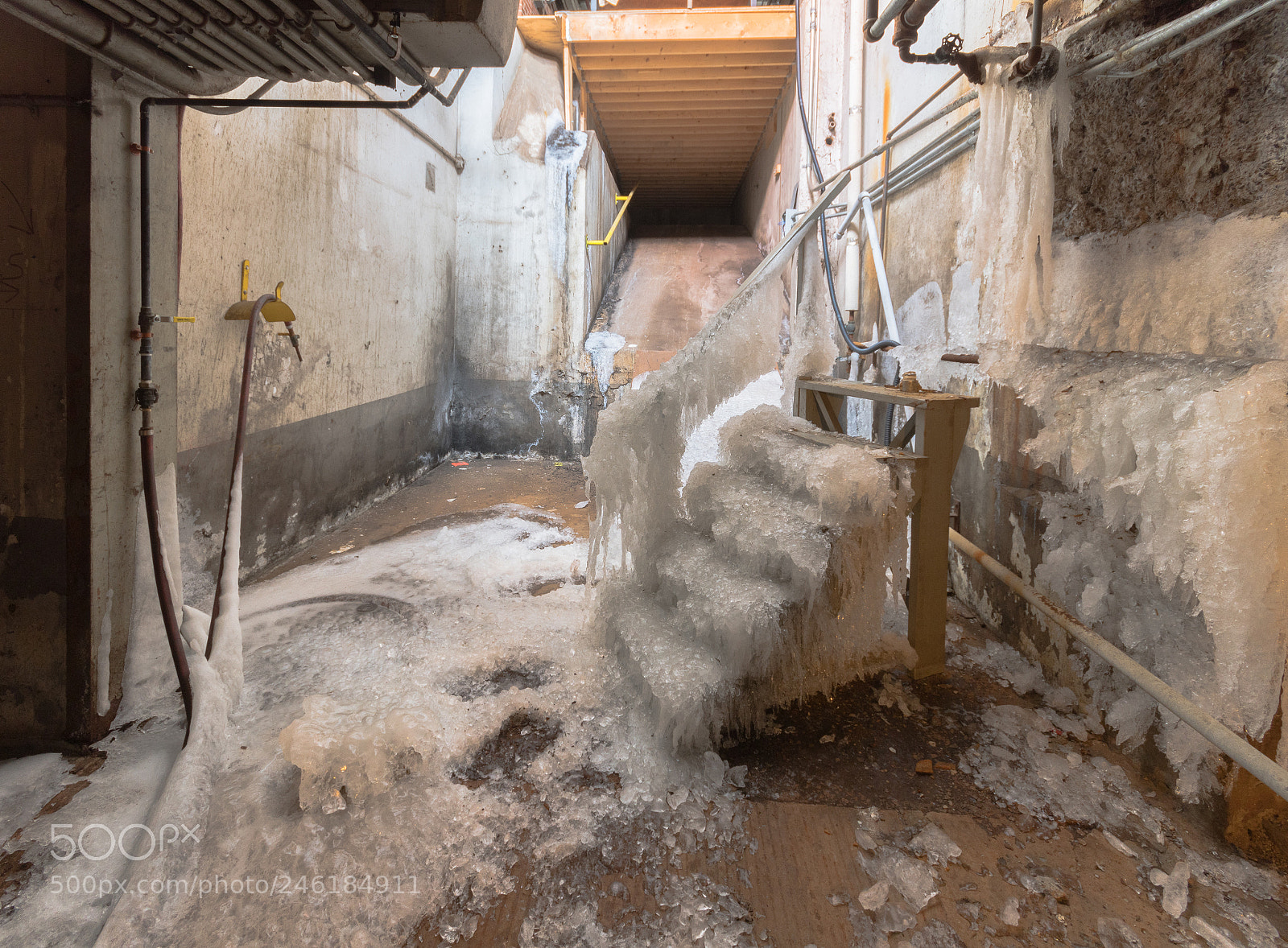 Nikon D7500 sample photo. Abandoned industrial booze distillery photography
