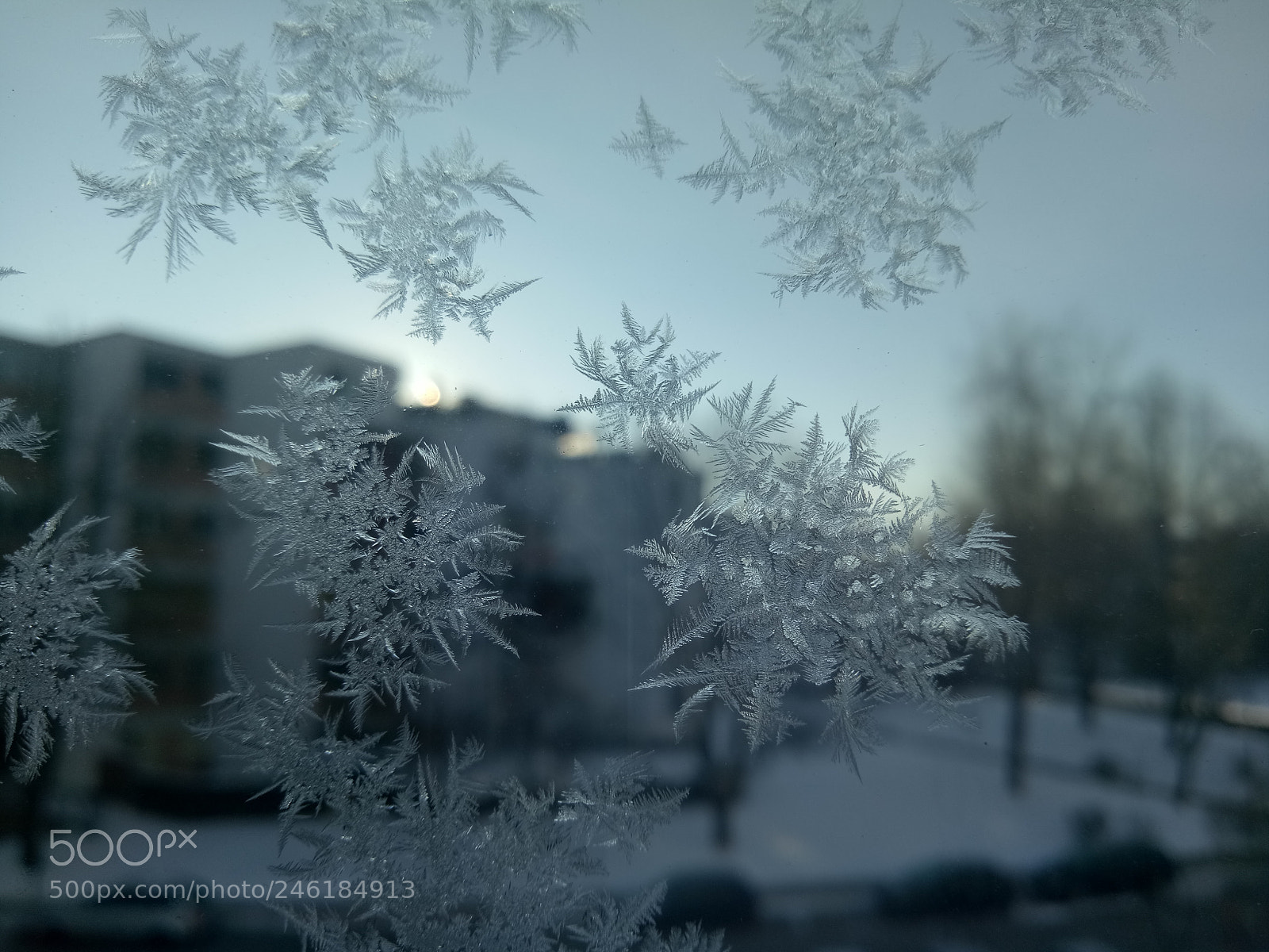 OPPO A1601 sample photo. Frozen morning photography