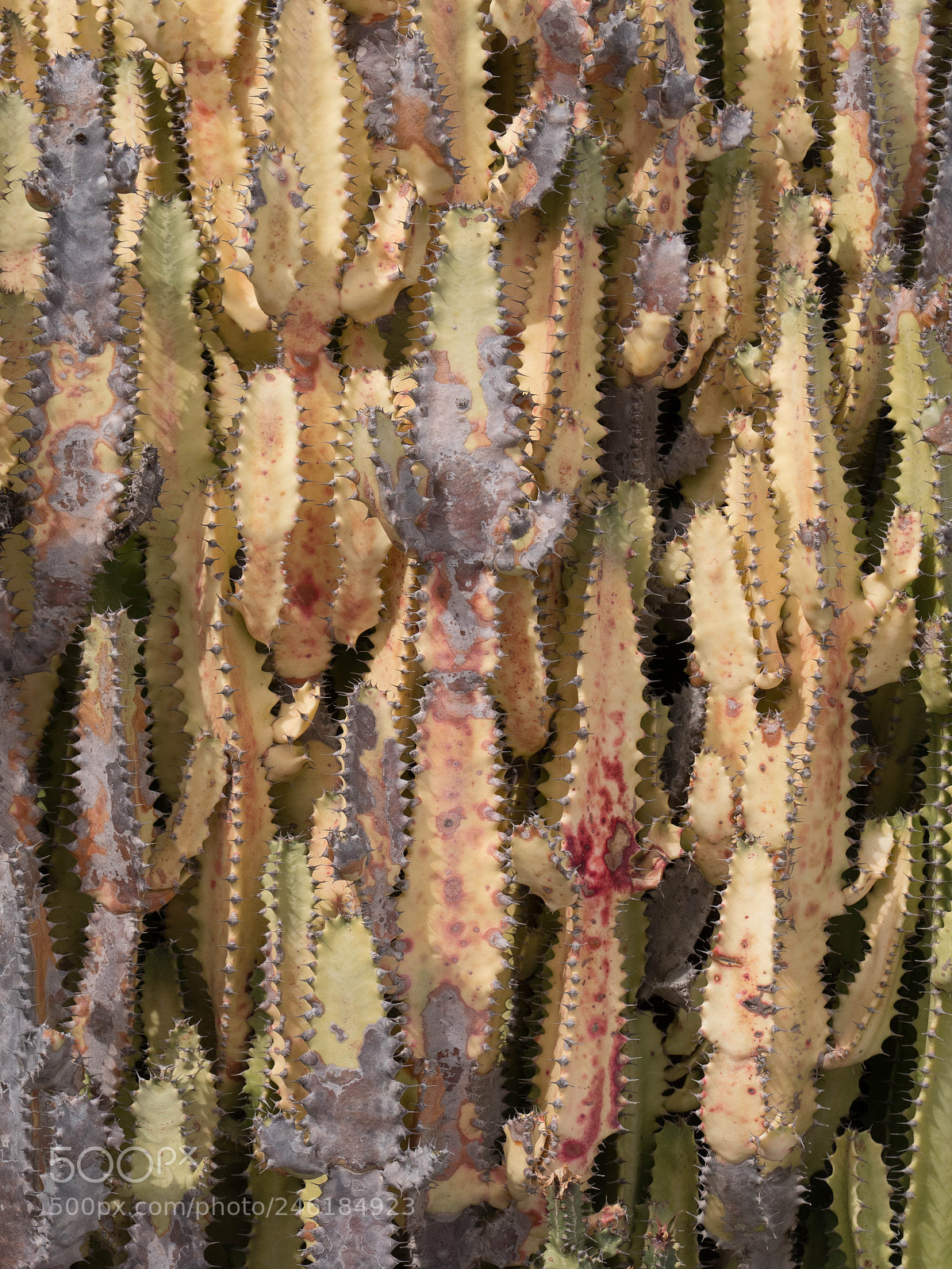 Panasonic Lumix DMC-GX8 sample photo. -1702_lanzarote279279.jpg photography
