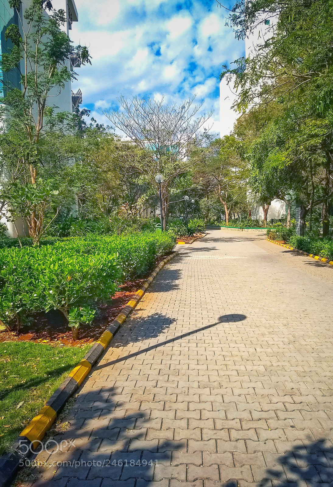 Motorola Moto G (5) Plus sample photo. Office diary photography