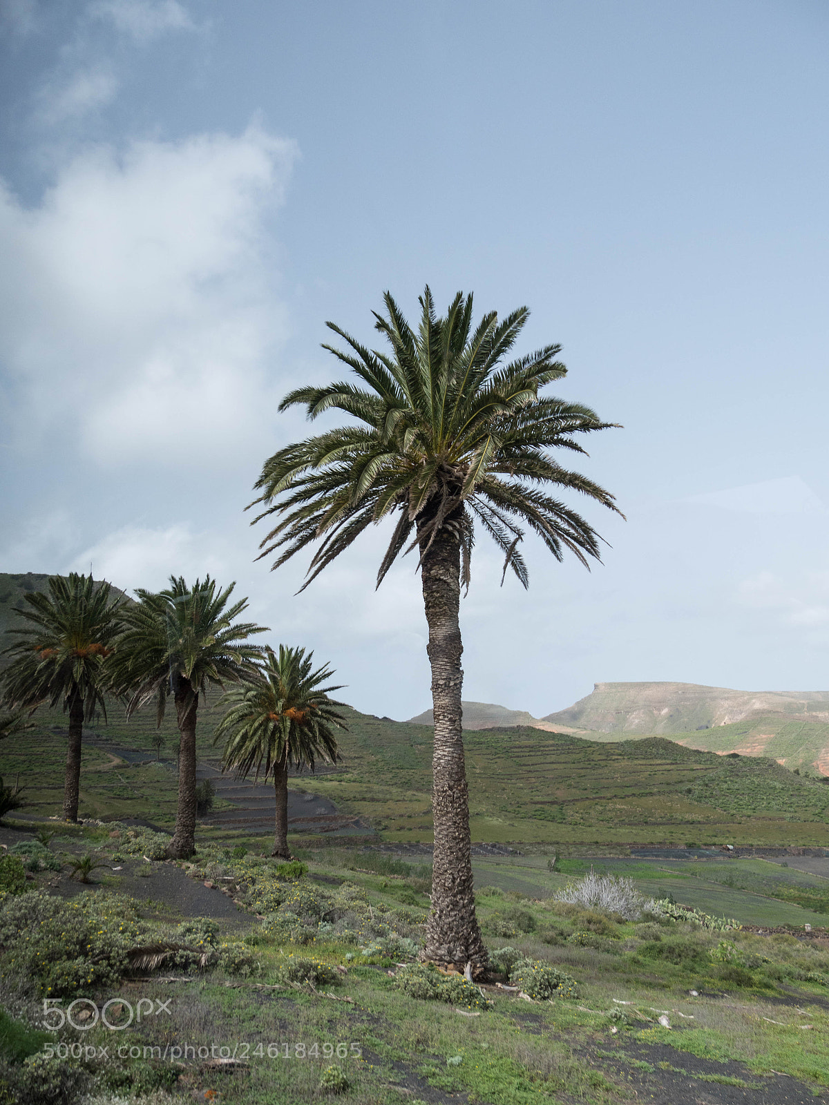 Panasonic Lumix DMC-GX8 sample photo. -1702_lanzarote353353.jpg photography