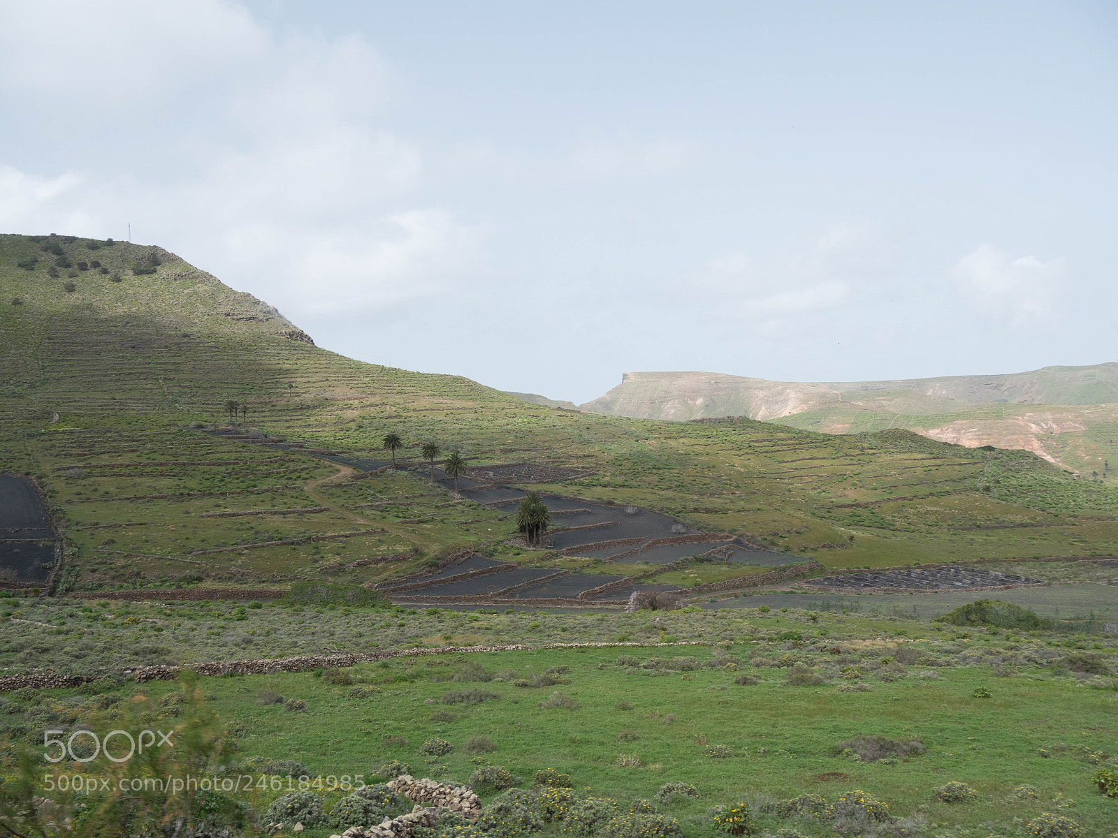 Panasonic Lumix DMC-GX8 sample photo. -1702_lanzarote355355.jpg photography
