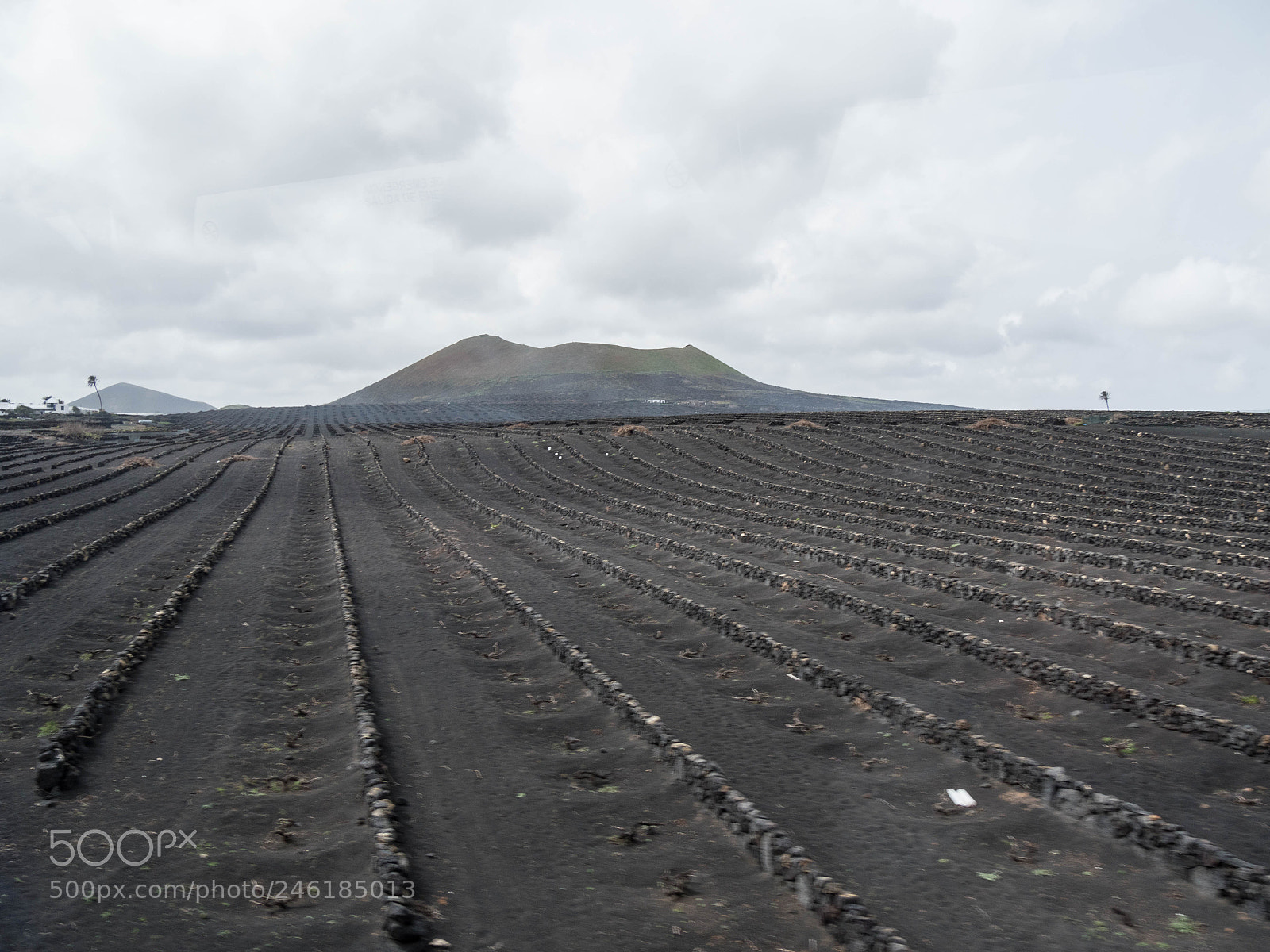Panasonic Lumix DMC-GX8 sample photo. -1702_lanzarote375375.jpg photography