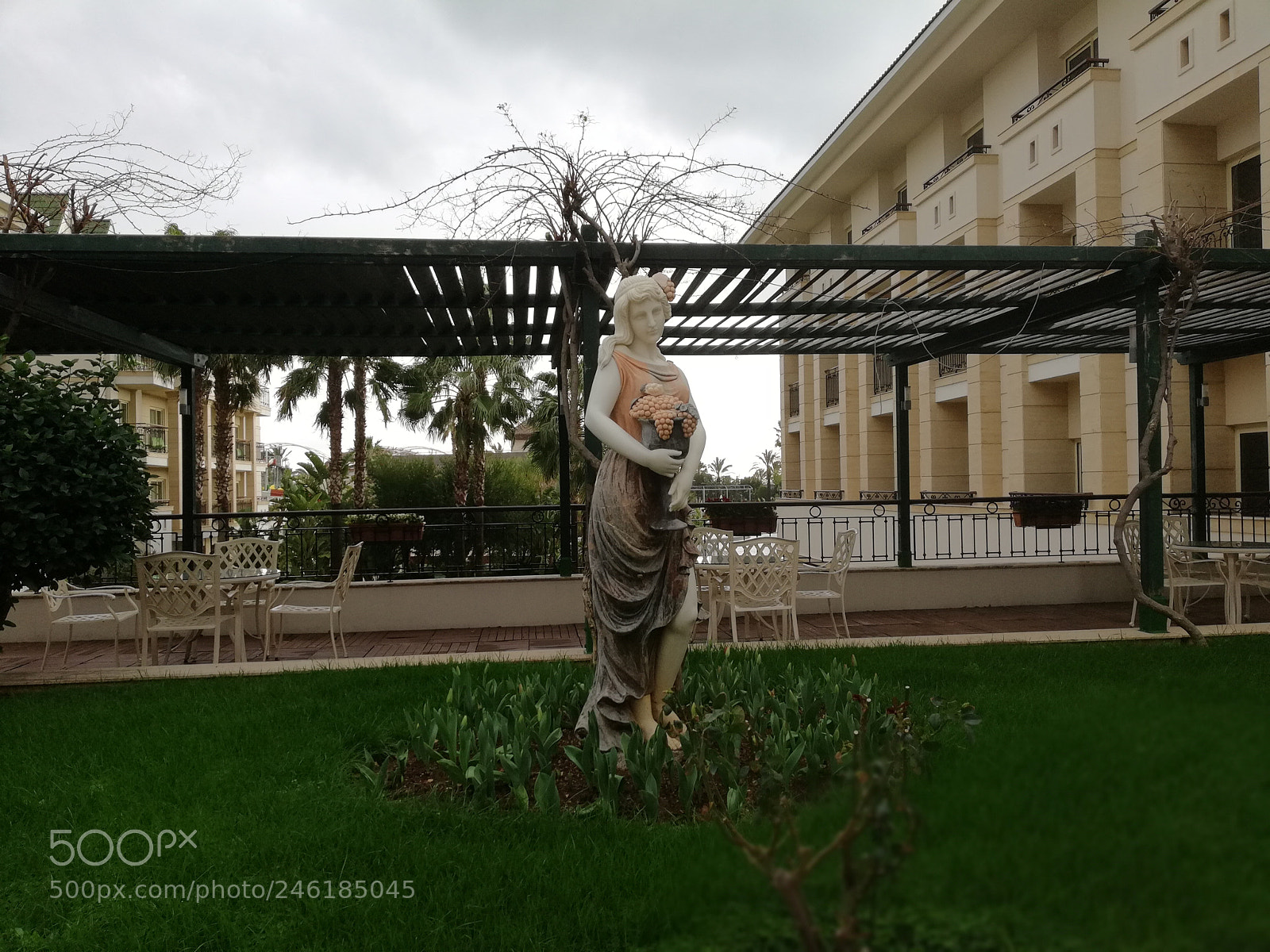 HUAWEI Mate 10 Lite sample photo. The greeting photography
