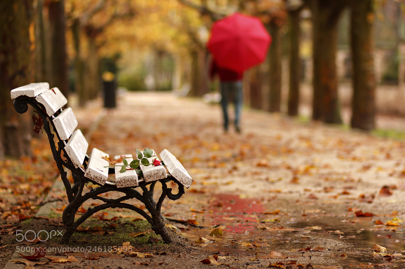 Canon EOS 60D sample photo. Adio ! photography