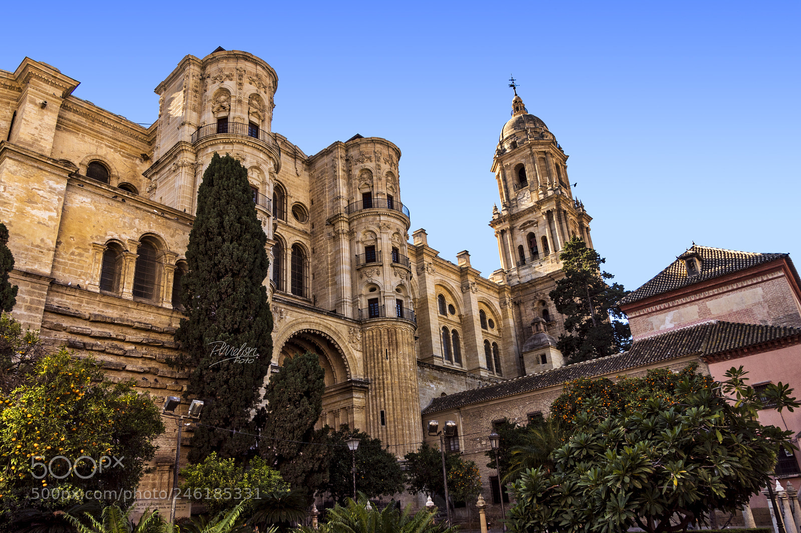 Sony SLT-A68 sample photo. Catedral de málaga photography