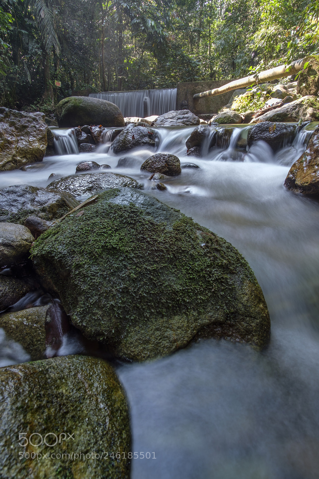 Fujifilm X-T2 sample photo. Flow of nature photography