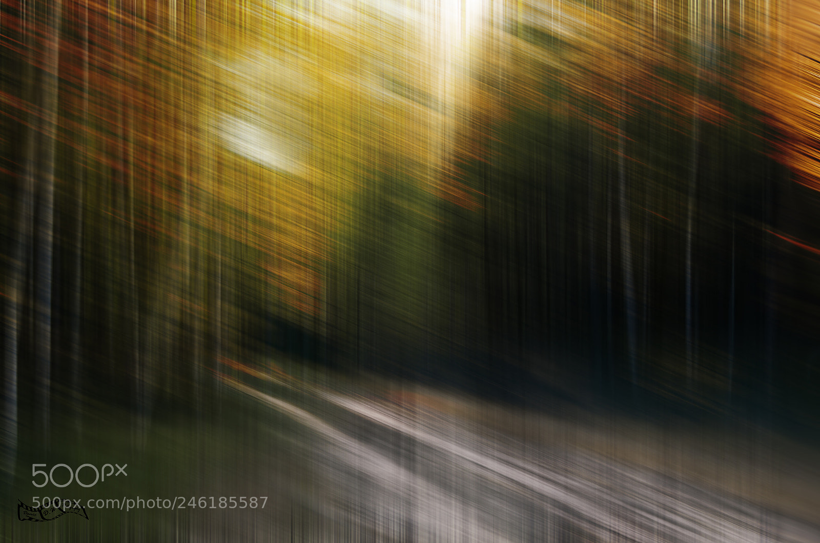 Pentax K-5 sample photo. Autumn colors photography