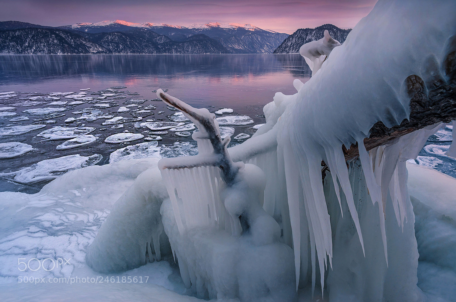 Nikon D800 sample photo. Frozen world photography