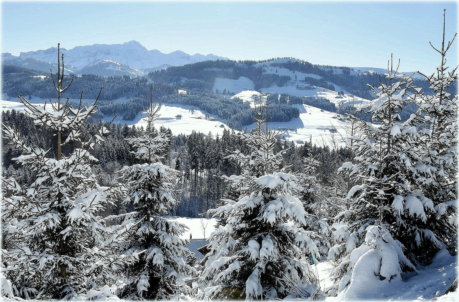 Nikon D7200 sample photo. "view from schwellbrunn-to alpstein" photography