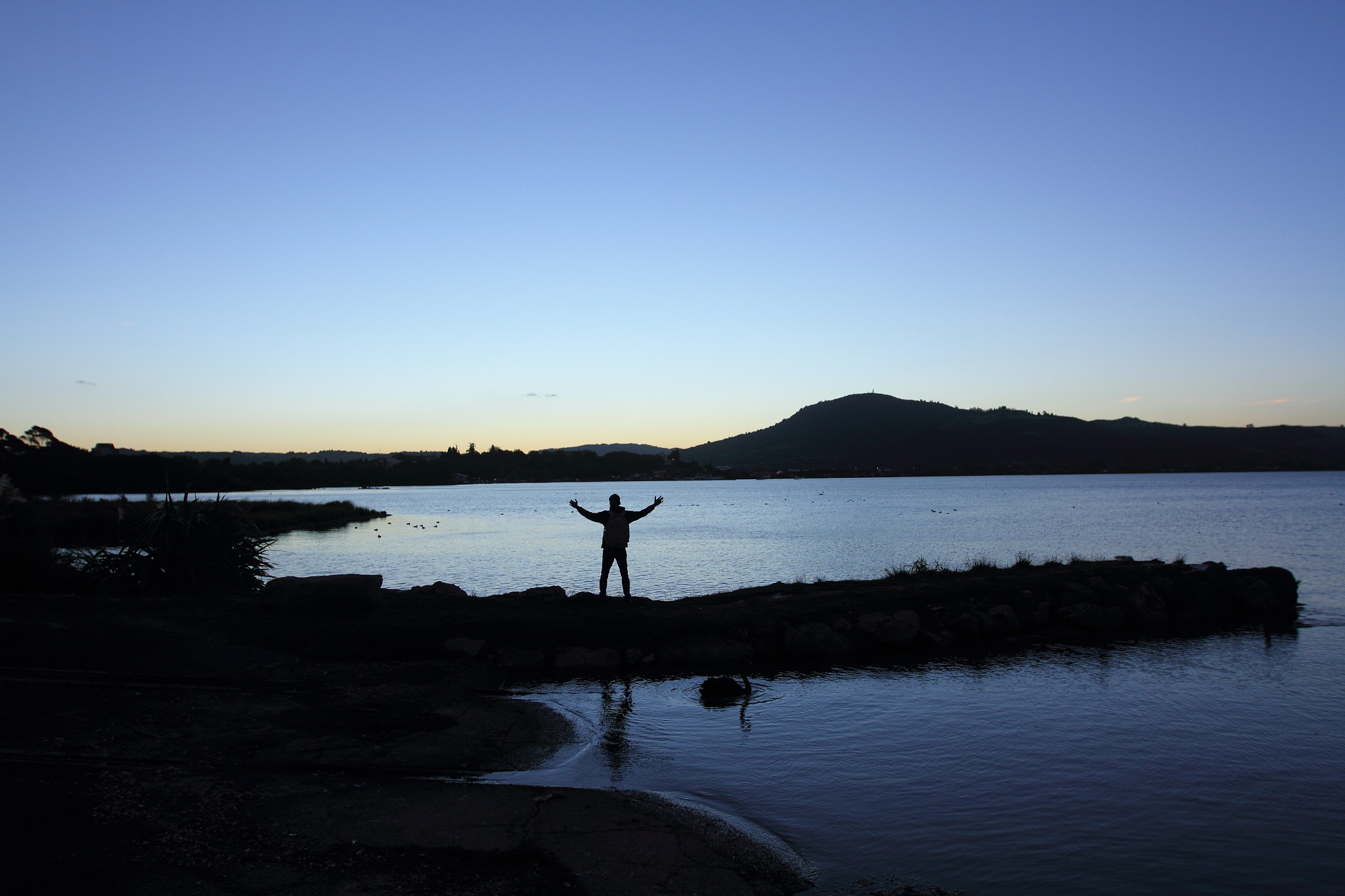 Canon EF 16-35mm F2.8L II USM sample photo. All alone in nature photography