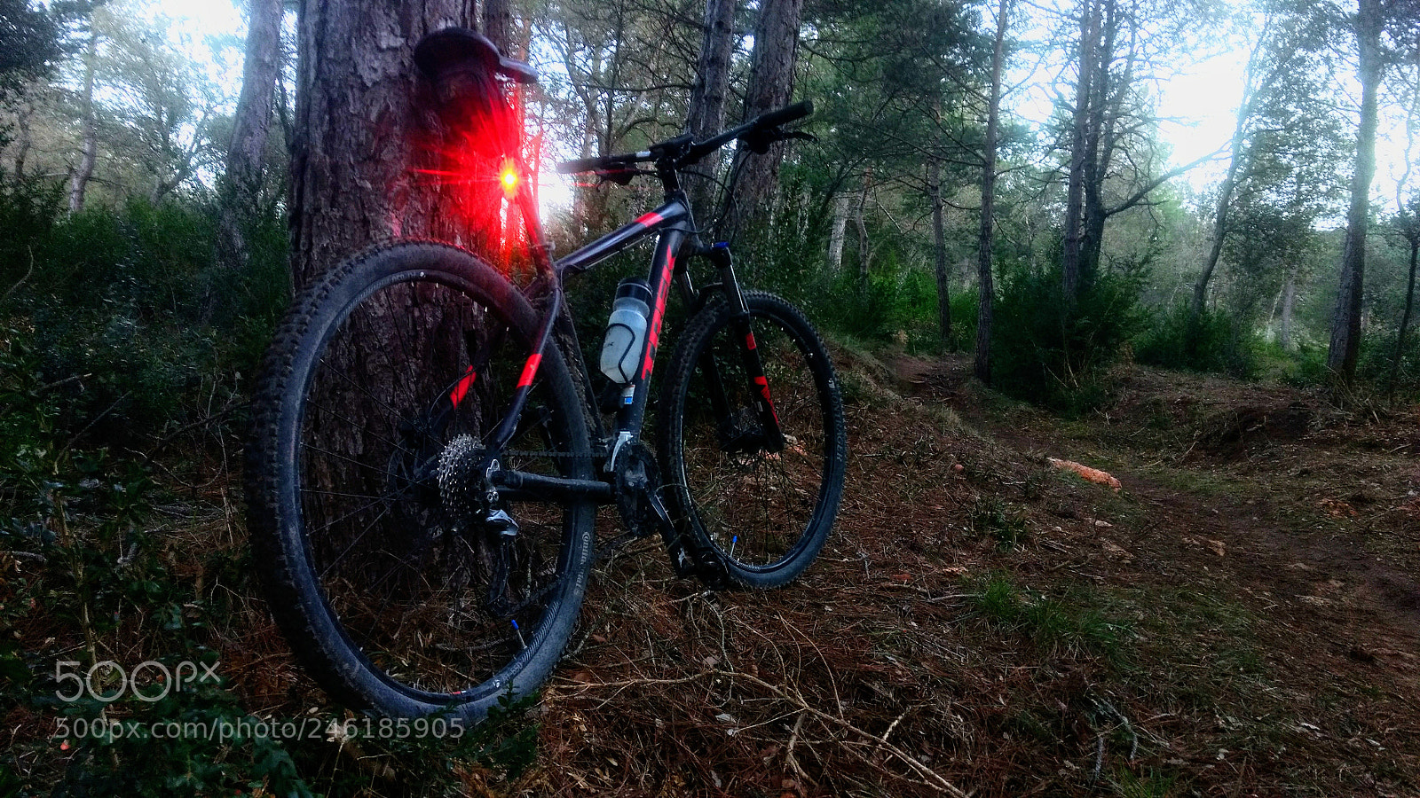 Motorola Moto G (4) sample photo. Mtb photography