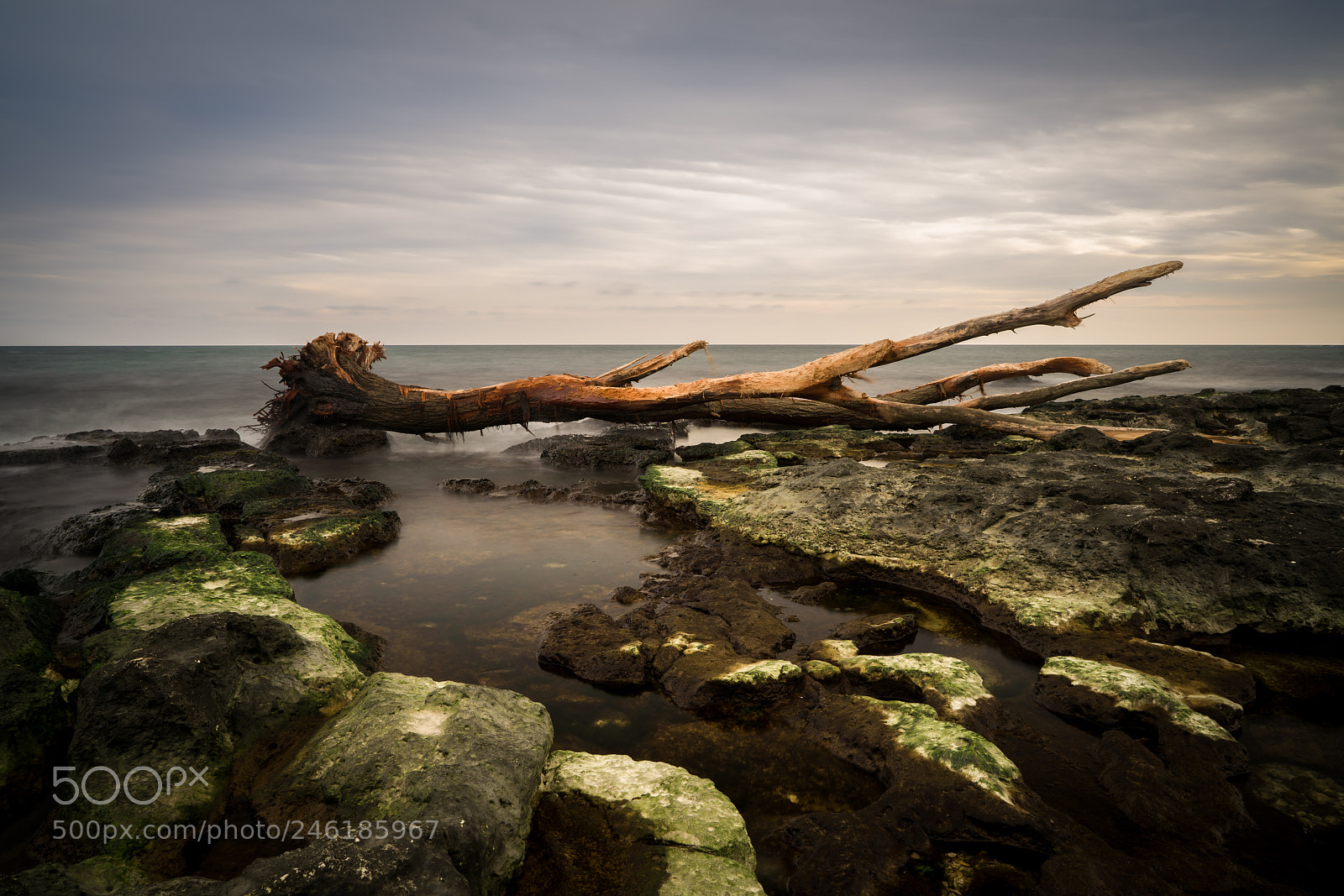 Sony a7R III sample photo. Lost at sea photography