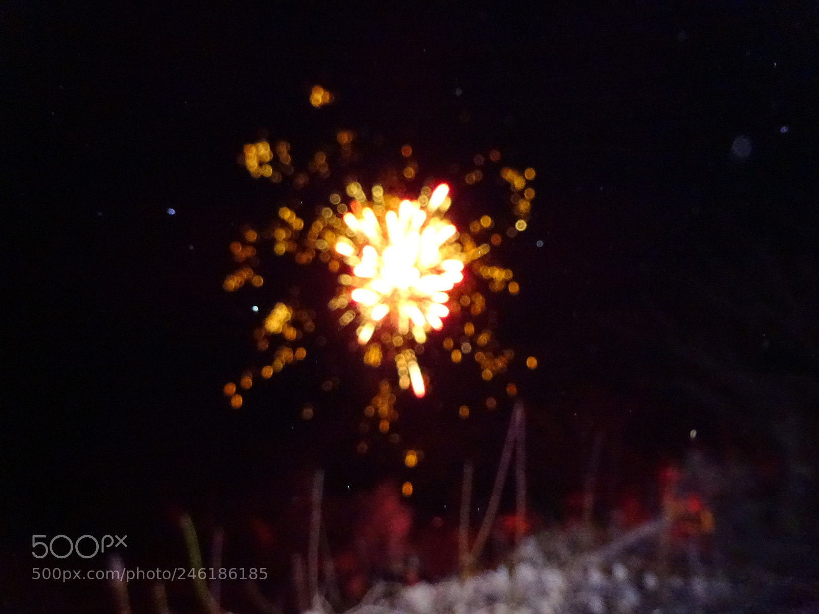 Sony Cyber-shot DSC-WX350 sample photo. Dsc photography