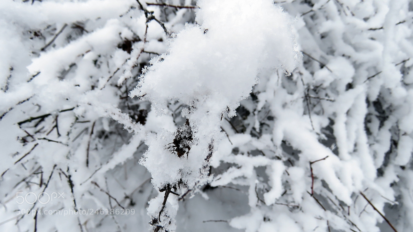 Canon PowerShot SX60 HS sample photo. Snow winter landscape photography