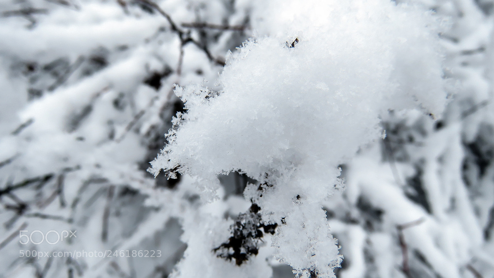 Canon PowerShot SX60 HS sample photo. Snow winter landscape photography
