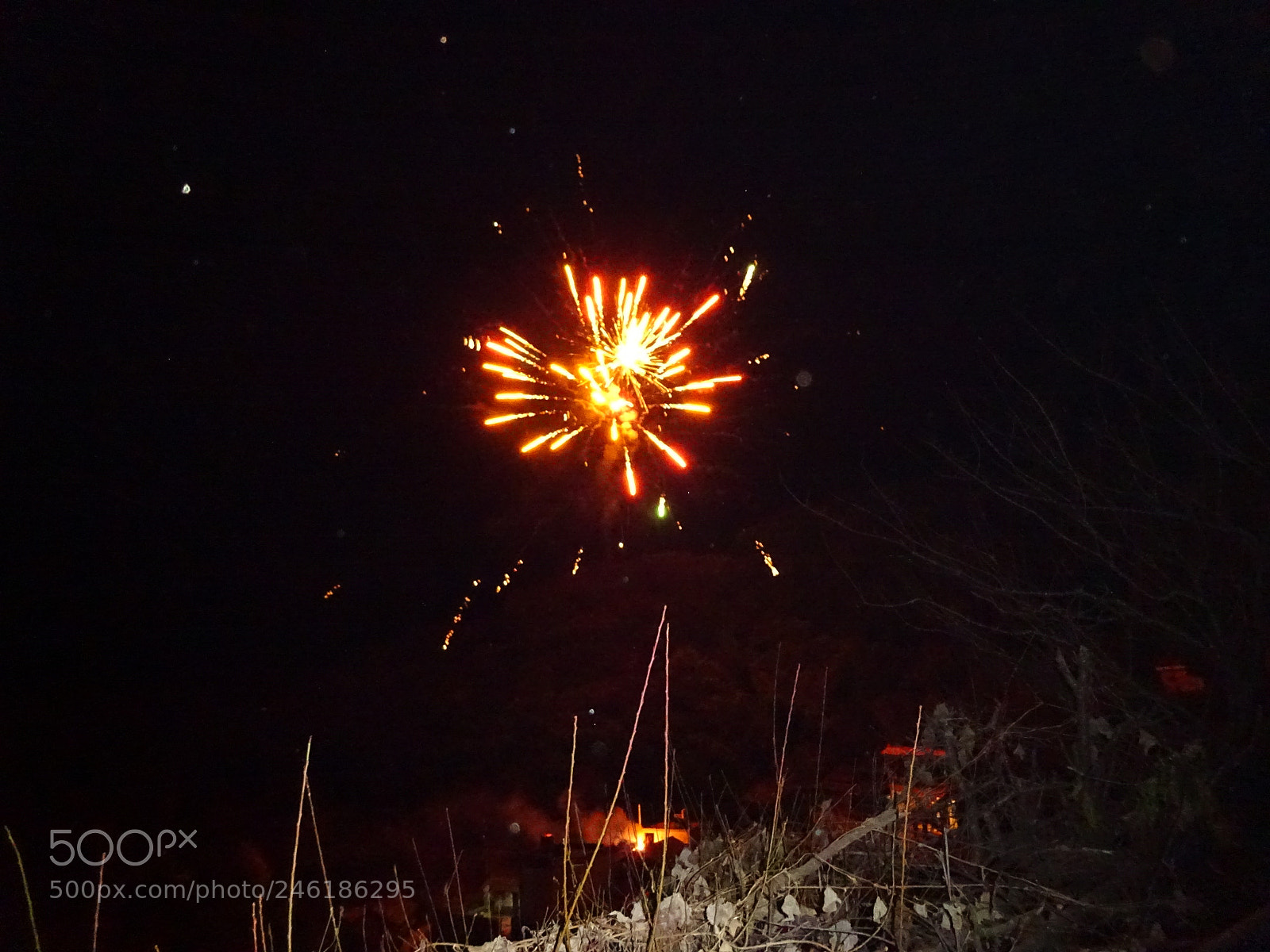 Sony Cyber-shot DSC-WX350 sample photo. Dsc photography