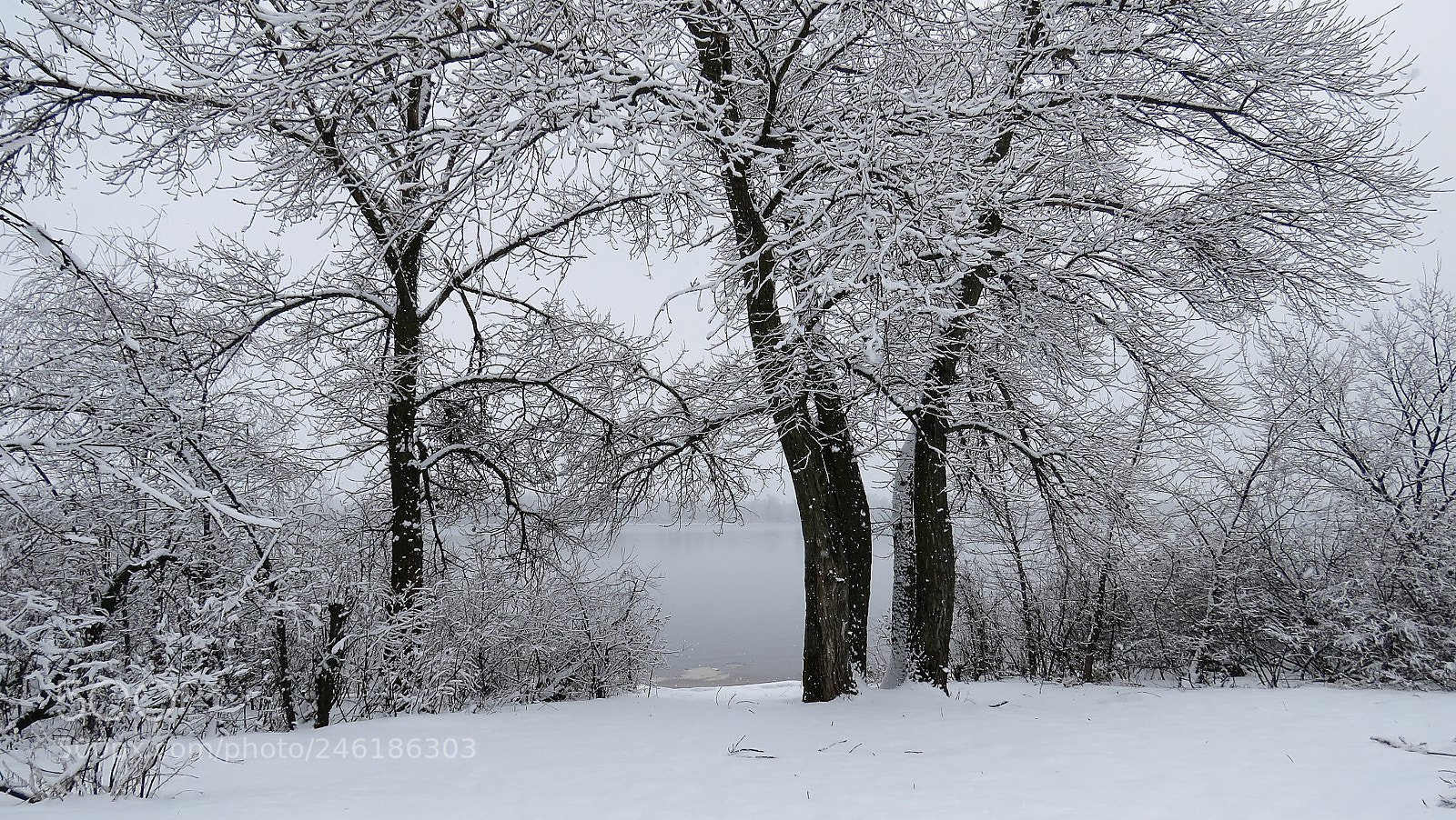 Canon PowerShot SX60 HS sample photo. Snow winter landscape photography