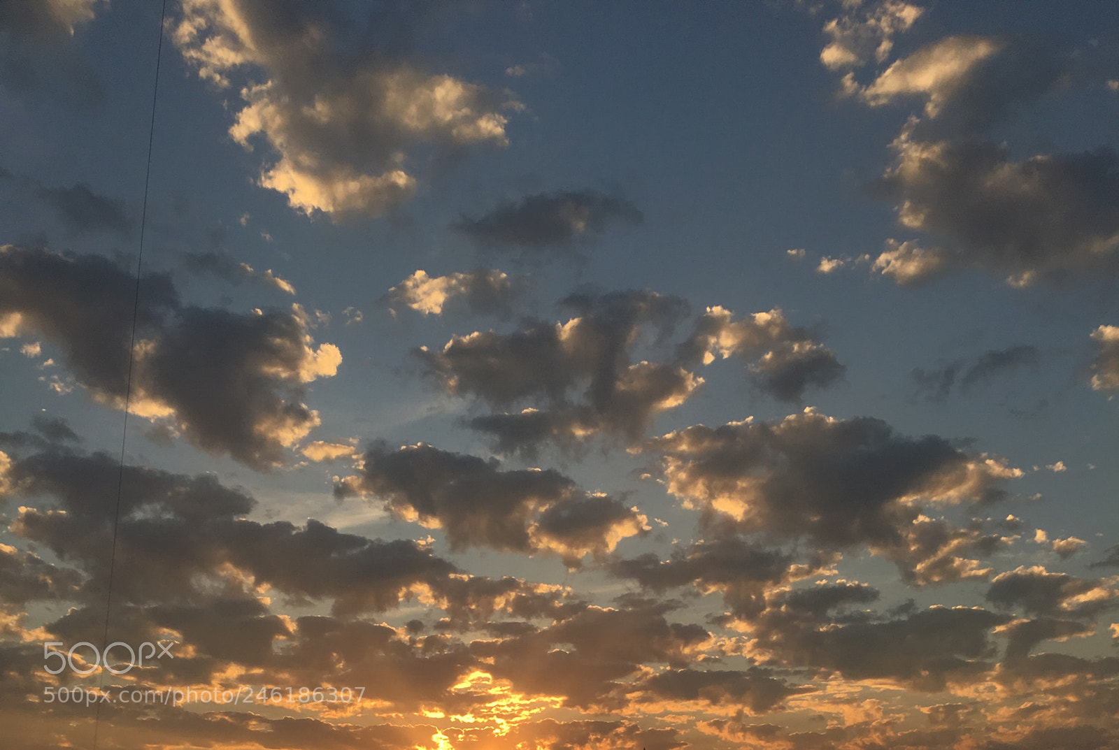Apple iPhone 6s sample photo. Untitled photography