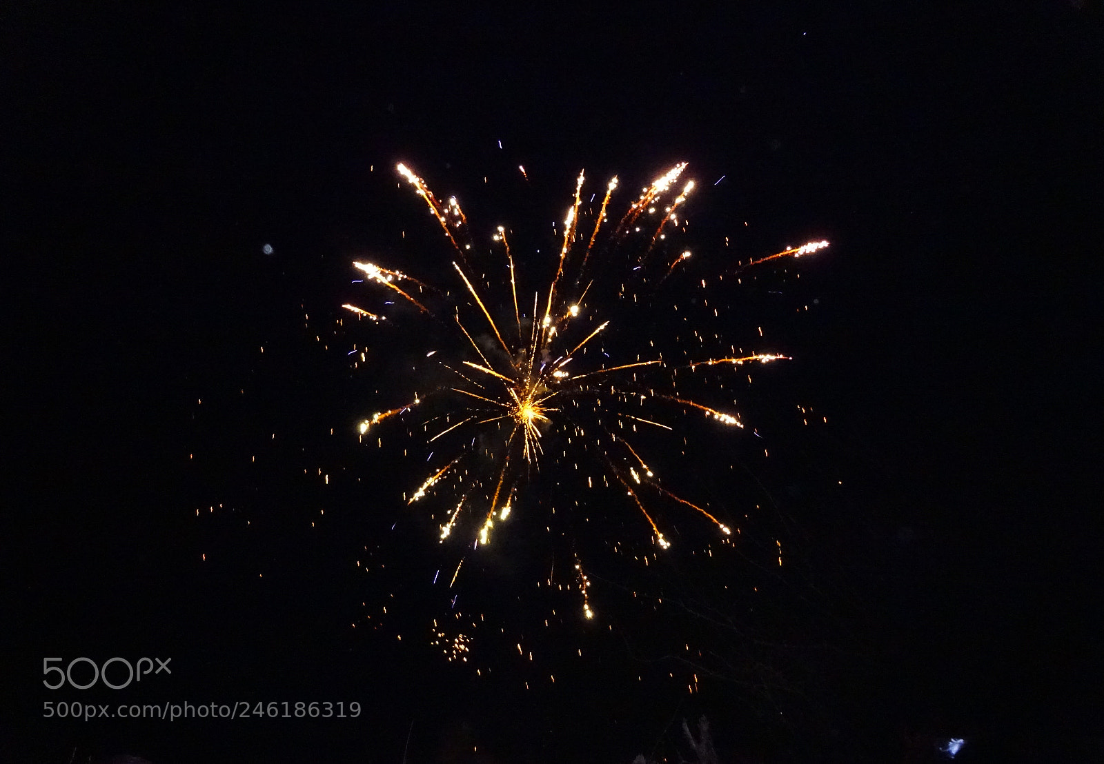 Sony Cyber-shot DSC-WX350 sample photo. Dsc photography
