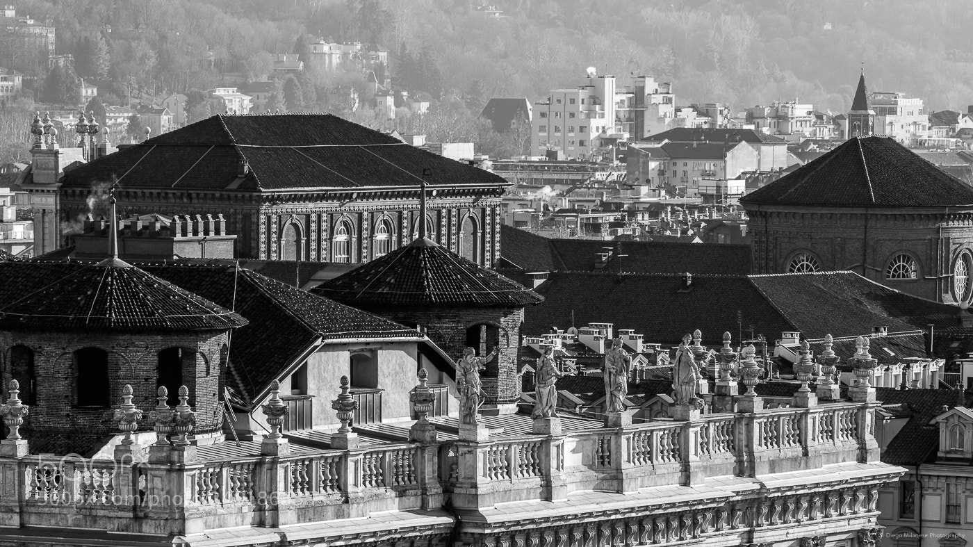 Fujifilm X-T20 sample photo. Turin from above photography
