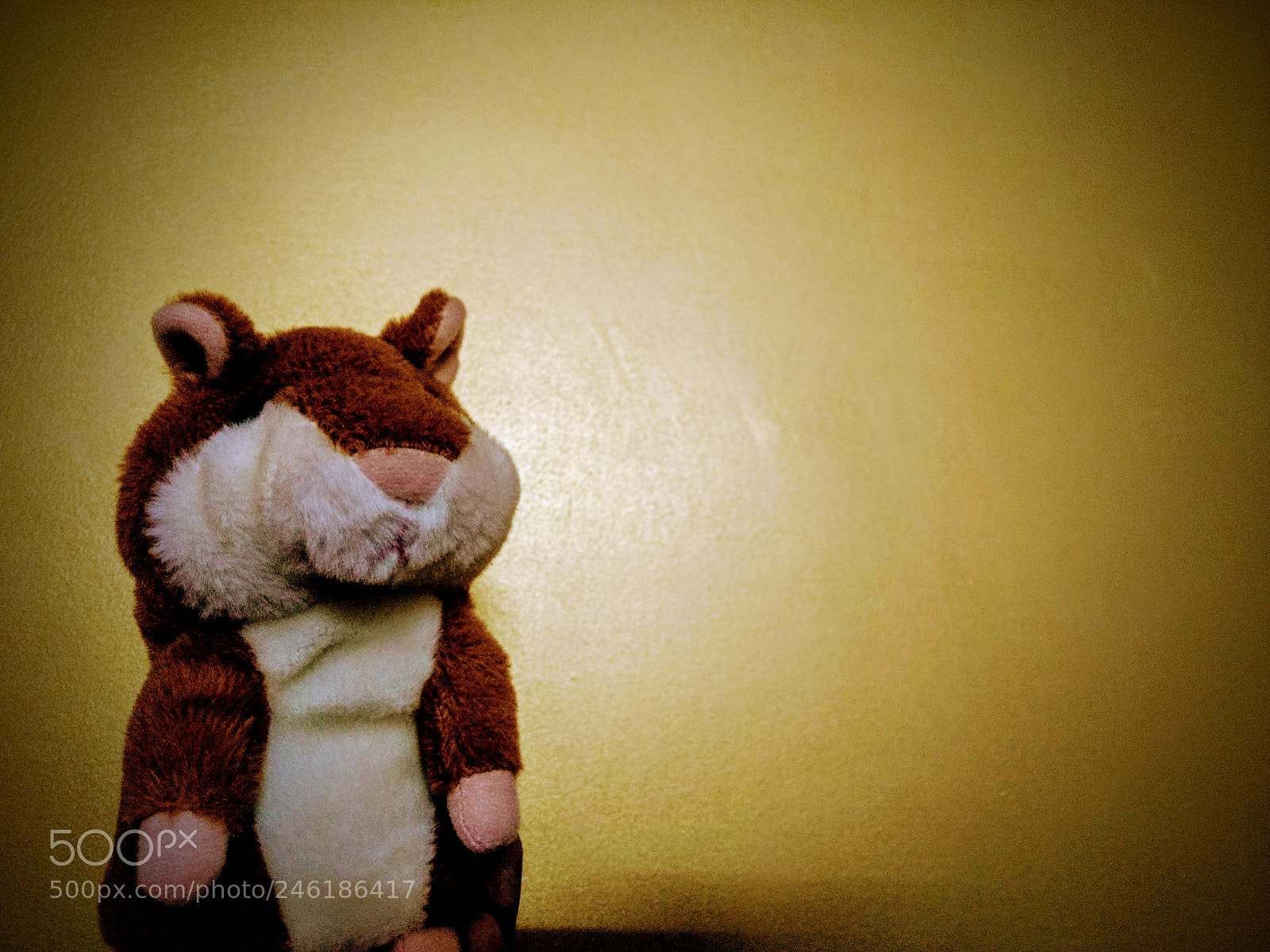 Motorola Moto G (4) sample photo. Guinea pig photography