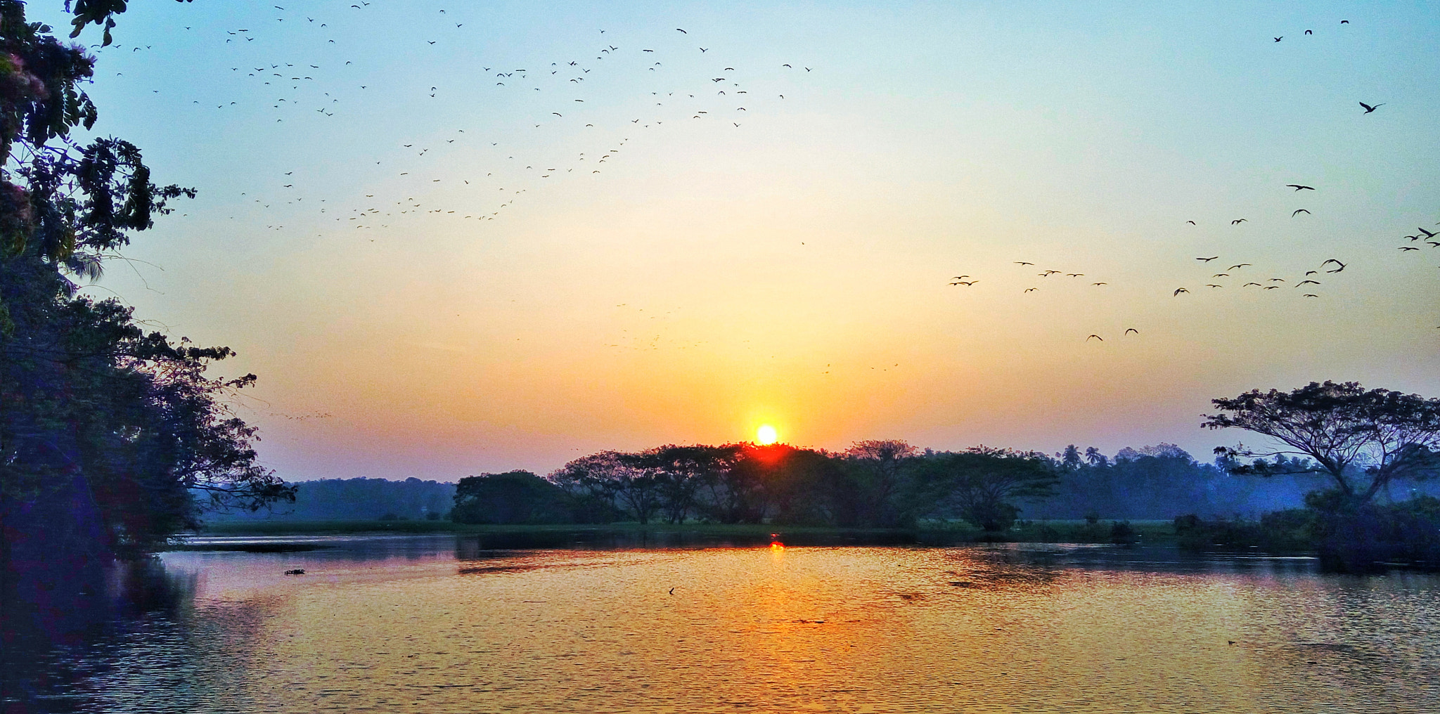 Lenovo VIBE X3 LITE sample photo. Good evening photography
